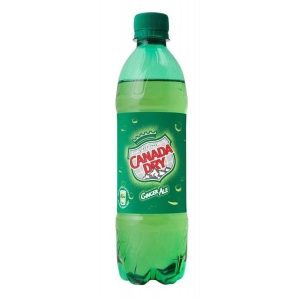 0,5L Canada Dry  DRS
